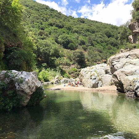 New! La Ginestra,Casa Vacanze Bifamiliare In Montagna-Seulo Sardegna Seùlo Exterior foto