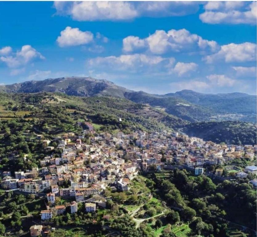 New! La Ginestra,Casa Vacanze Bifamiliare In Montagna-Seulo Sardegna Seùlo Exterior foto