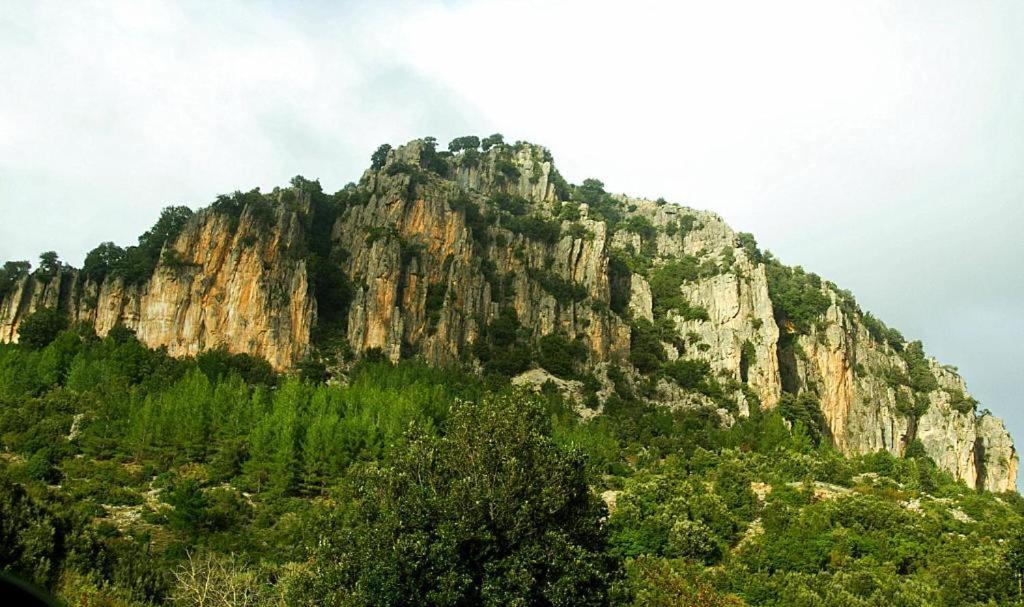 New! La Ginestra,Casa Vacanze Bifamiliare In Montagna-Seulo Sardegna Seùlo Exterior foto