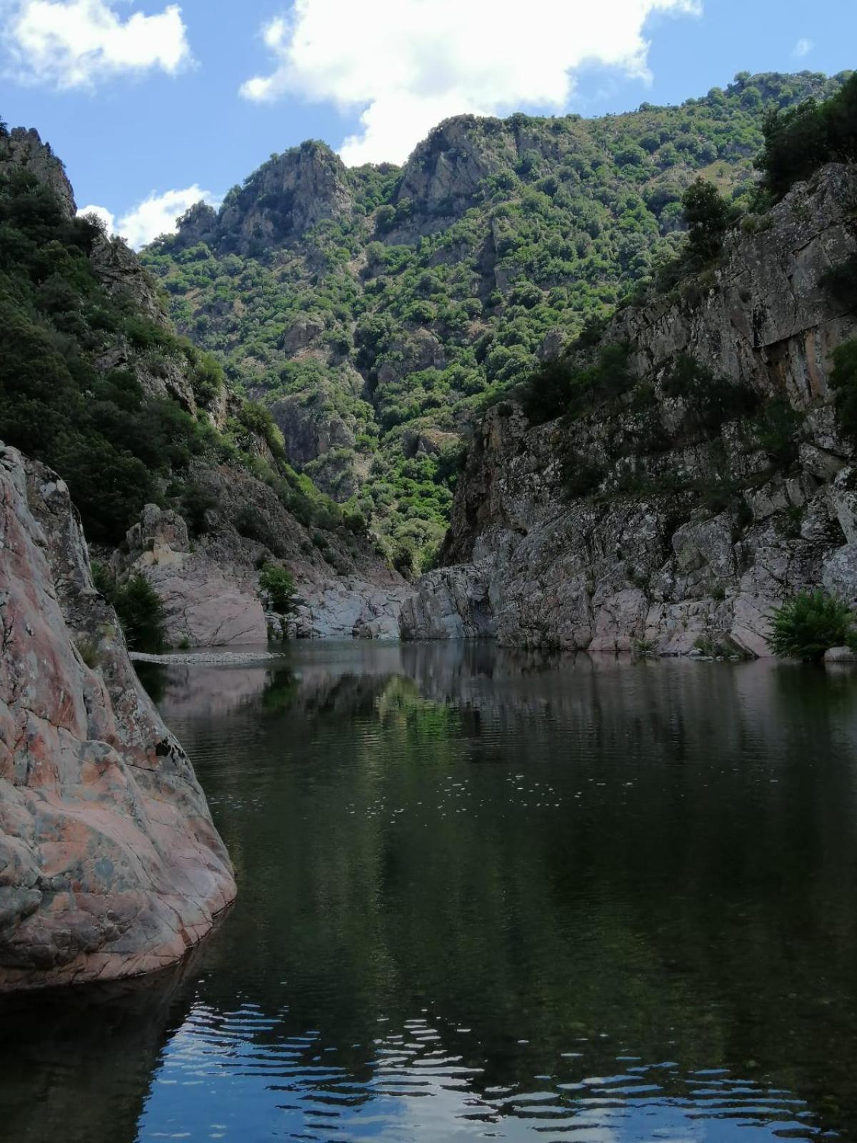 New! La Ginestra,Casa Vacanze Bifamiliare In Montagna-Seulo Sardegna Seùlo Exterior foto