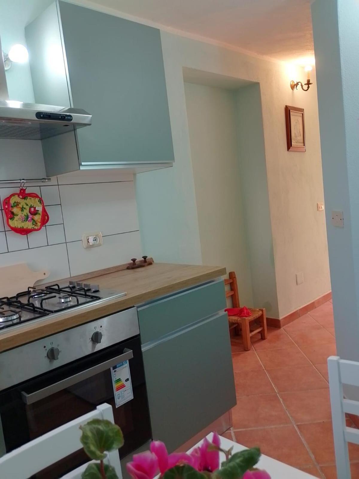 New! La Ginestra,Casa Vacanze Bifamiliare In Montagna-Seulo Sardegna Seùlo Exterior foto